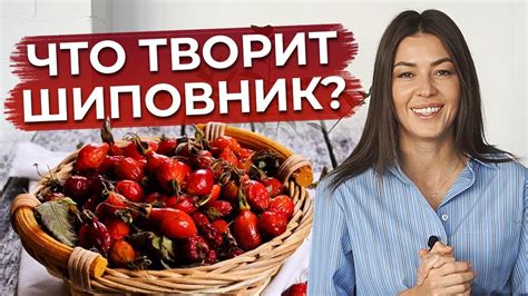 Лимоновое пюре как источник витамина С