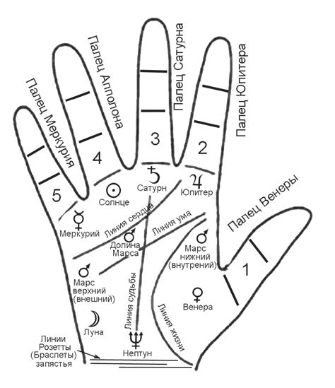 Линии на ладони: что они значат