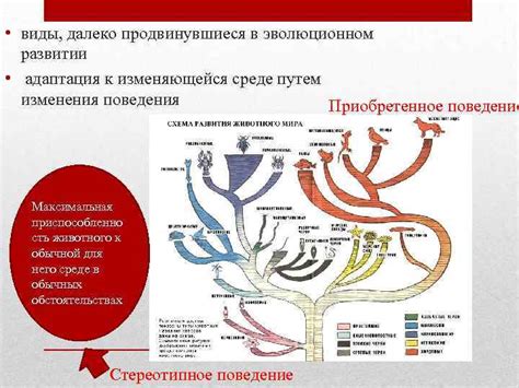 Лисы на щите червленом: адаптация к изменяющейся среде