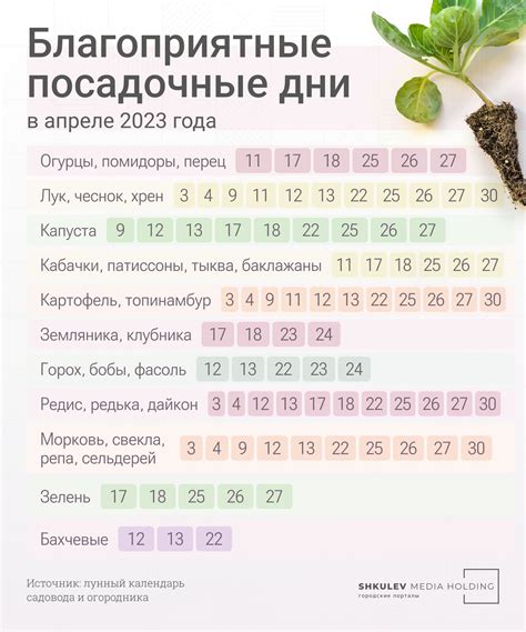 Лунный календарь и посадка