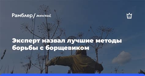 Лучшие методы борьбы