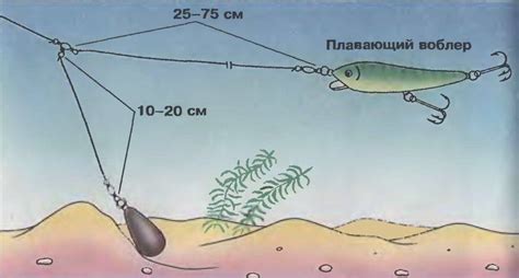 Лучшие методы и снасти для ловли япора