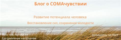 Лучшие методы сохранения