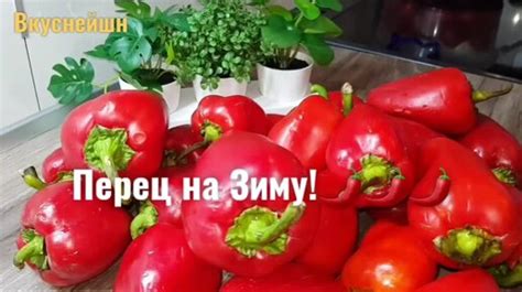 Лучшие способы консервирования перца