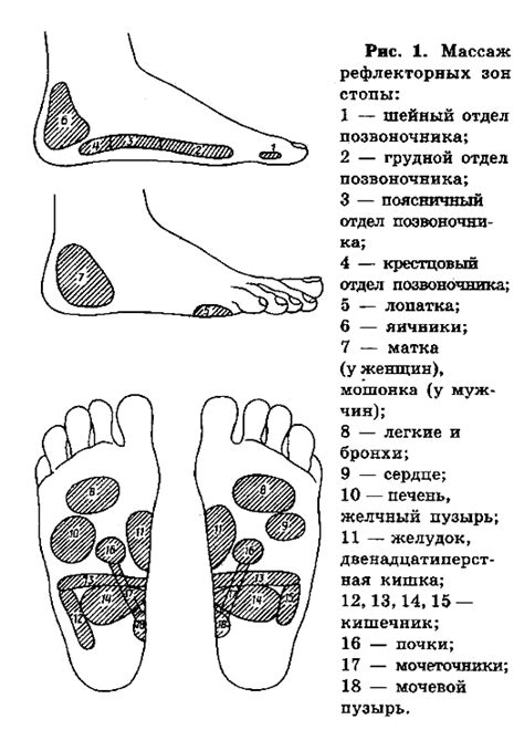 Массаж основных зон стопы