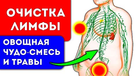 Массаж точечных зон для активации лимфатической системы