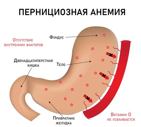 Массогенетический фактор