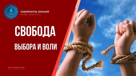 Масштабируемость, свобода выбора и глобальность практически в одном проекте