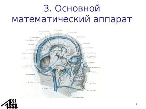 Математический аппарат тригонометрии