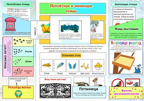 Материалы для изготовления птицы