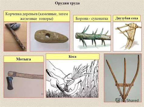 Материалы и инструменты для создания идеального убежища