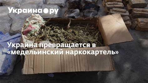 Медельинский наркокартель: террор и коррупция