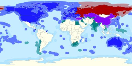 Международная реакция на происходящее