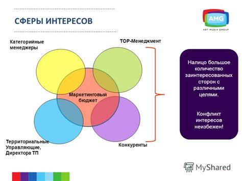 Международный опыт и сферы интересов