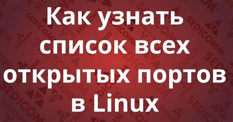 Меры безопасности при обнаружении открытых портов в Linux