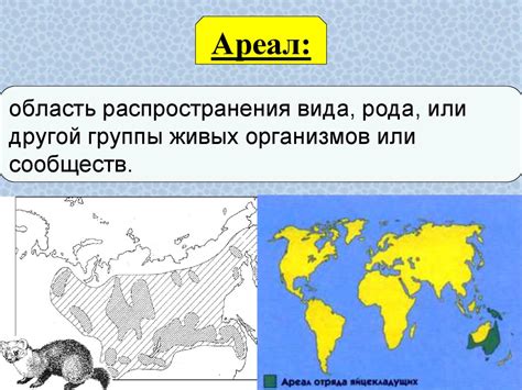 Места обитания и ареал эльфов