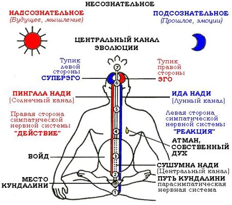 Местоположение души Каирна