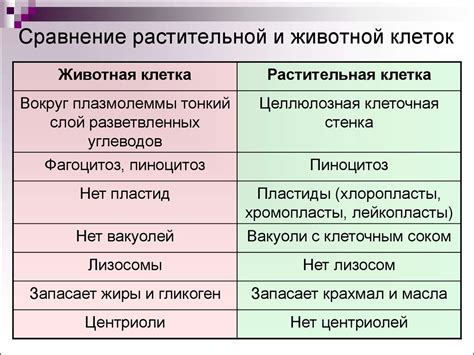 Метаболические различия клеток в зависимости от возраста