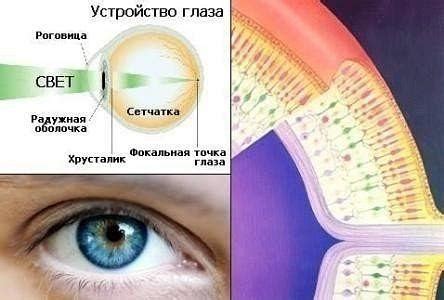 Методика для улучшения зрения в Китае