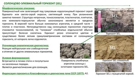 Методы анализа обнаружения торфяника в почве