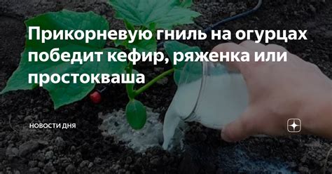 Методы восстановления культуры саха