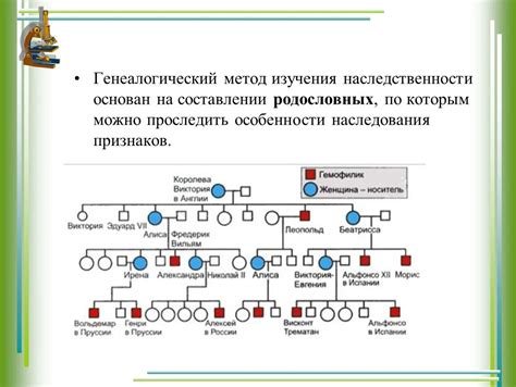 Методы генеалогического исследования