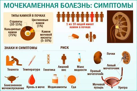 Методы диагностики гиперэхогенной взвеси в мочевом пузыре