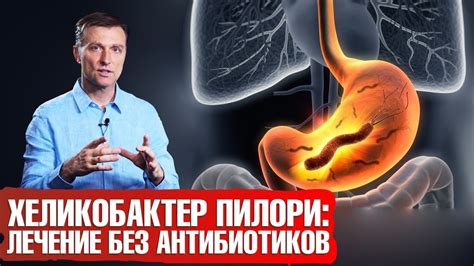 Методы диагностики и лечения Helicobacter pylori