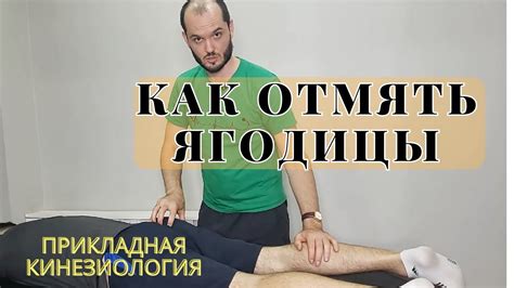 Методы диагностики триггерных точек в кинезиологии