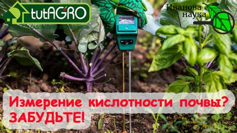 Методы измерения кислотности почвы