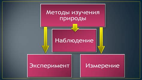 Методы изучения биологической ритмичности