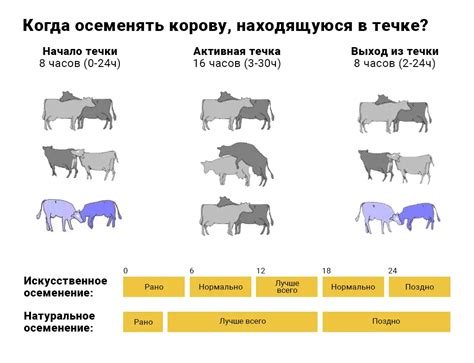 Методы искусственного осеменения и выращивания производителей