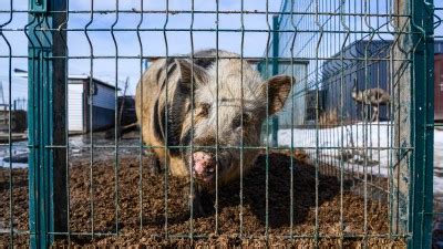 Методы и советы по борьбе с сыростью