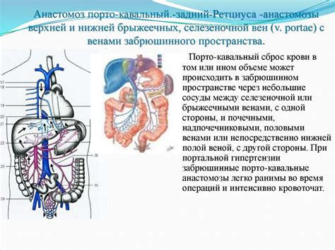 Методы лечения дилатации воротной и селезеночной вен