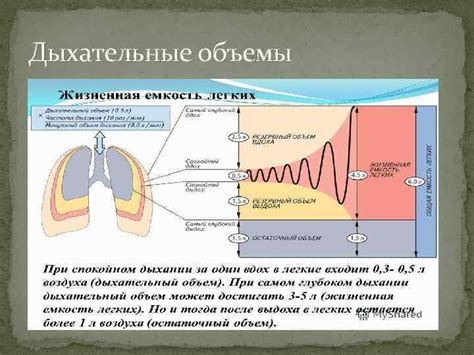 Методы лечения и восстановления функции дыхания