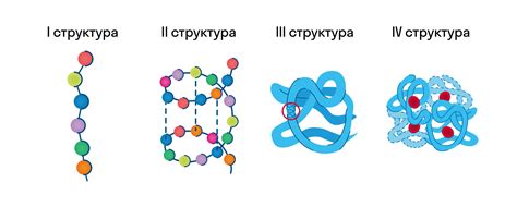 Методы моделирования белковой структуры