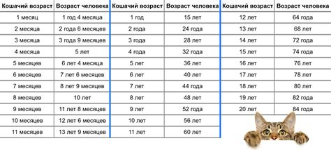 Методы определения возраста кошки