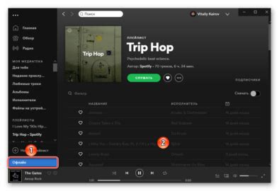 Методы определения жанра трека в Spotify