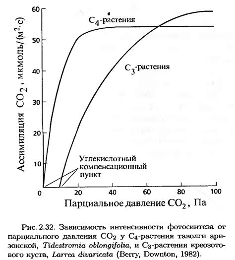 Методы определения площади пола