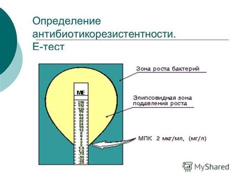 Методы определения чувствительности антибиотиков