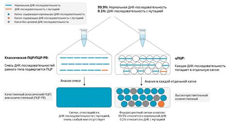 Методы определения эффективности ПЦР