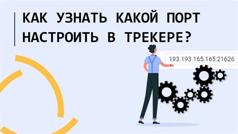 Методы определения IP адреса: сравнение и выбор лучшего