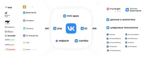 Методы определения VK Pay ID