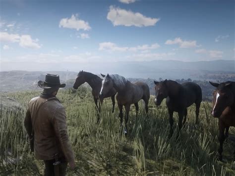 Методы поиска пропавшей лошади в Red Dead Redemption 2