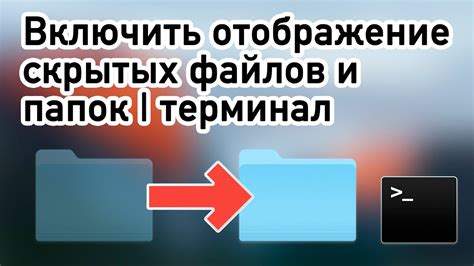 Методы поиска скрытых файлов на разных операционных системах