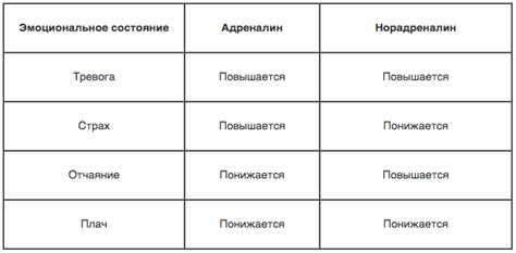 Методы преодоления негативных эмоций: гнев и злость