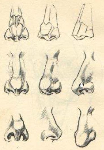 Методы рисования носа человека