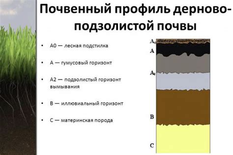 Методы сохранения плодородных слоев почвы для увеличения ее продуктивности