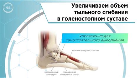 Методы улучшения координации при тренировке тыльного сгибания стопы