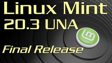 Методы установки Systemback на Linux Mint 20